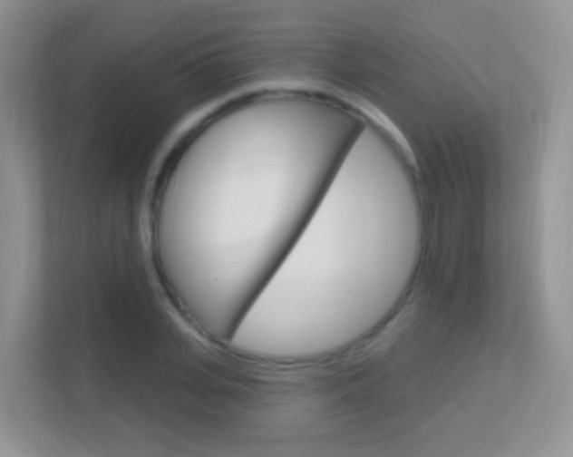 X0000113900935200909241159