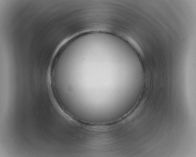 X0000113900944200909241159
