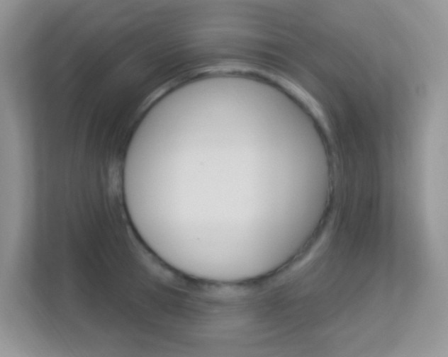 X0000113900945200909241159