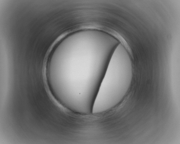 X0000113900947200909241200