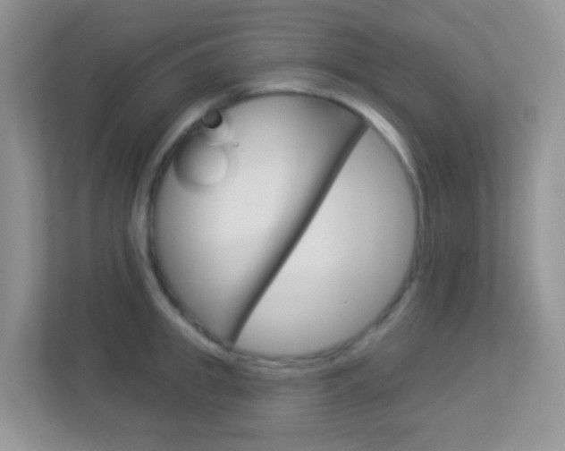 X0000113900949200909241200