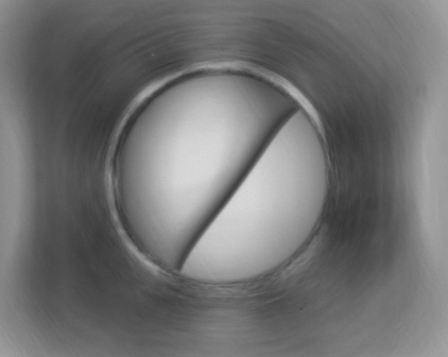 X0000113900951200909241200