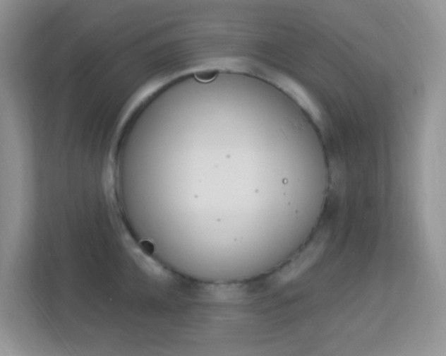 X0000113900952200909241200