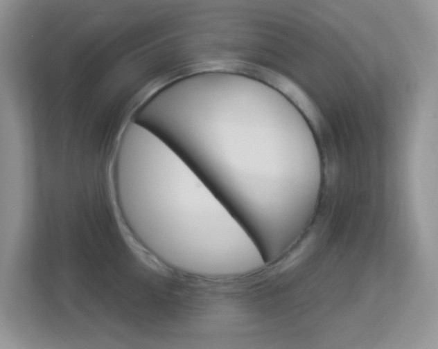 X0000113900954200909241200