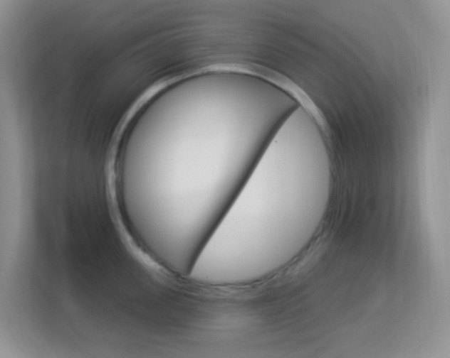X0000113900955200909241200