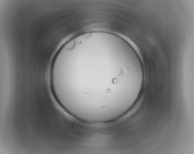 X0000113900957200909241200