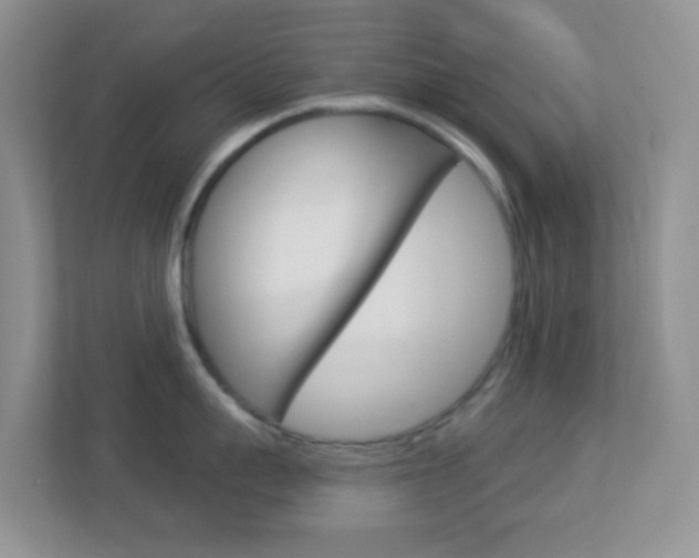 X0000113900959200909241200