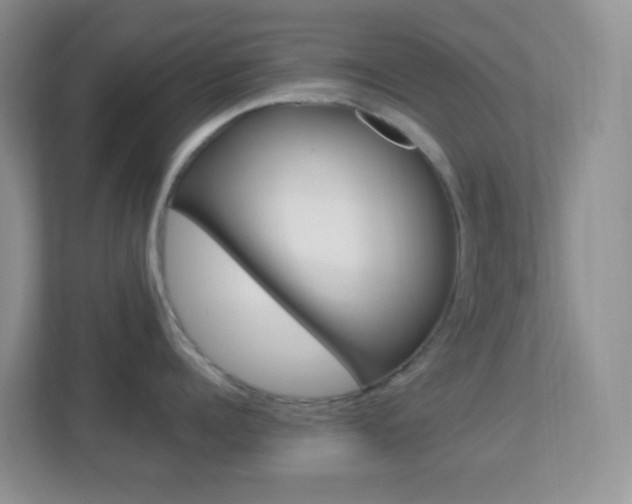 X0000113900960200909241200