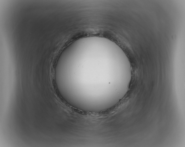 X0000113900961200909241159