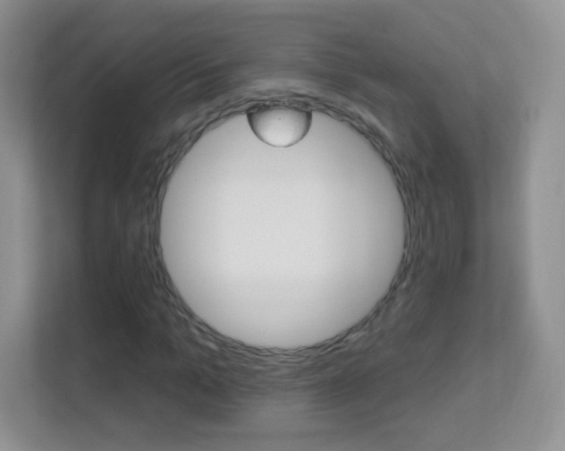 X0000113900965200909241159