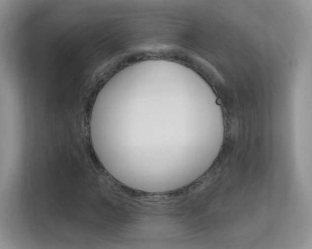 X0000113900966200909241159