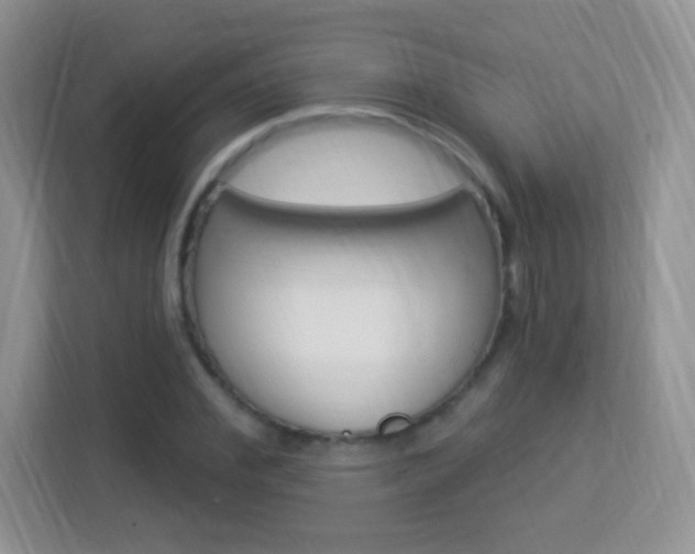 X0000113900972200909241159