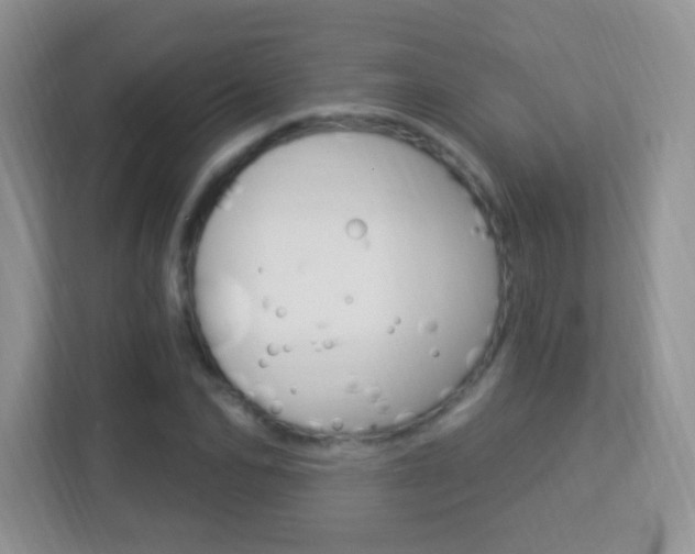 X0000113900974200909241159