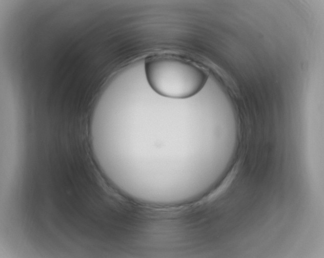 X0000113900977200909241159