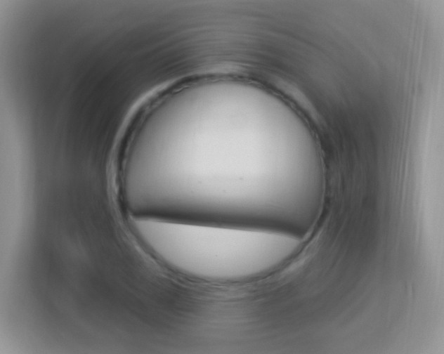 X0000113900979200909241159