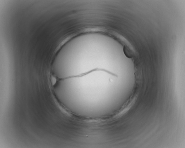 X0000113900985200909241159