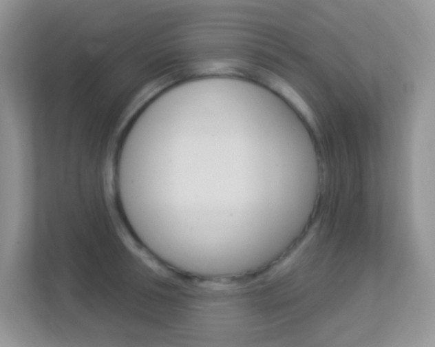 X0000113900994200909241159