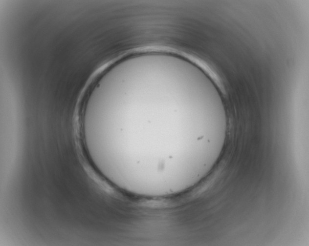 X0000113900998200909241159