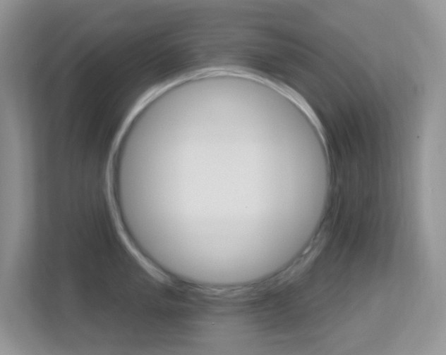 X0000113901005200909241158