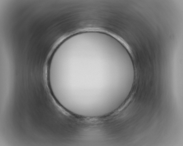 X0000113901006200909241158