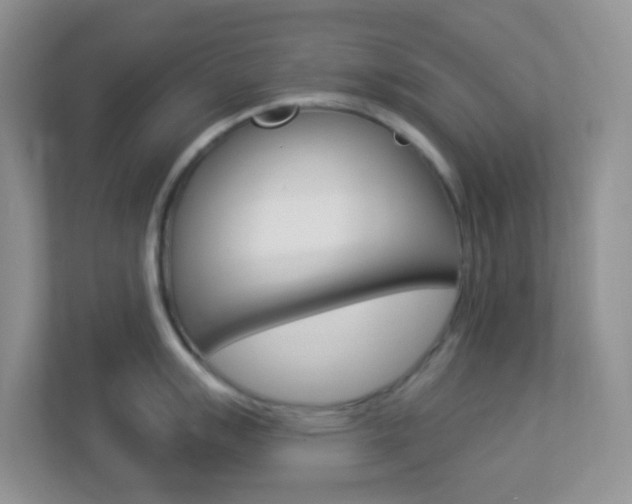 X0000113901007200909241158