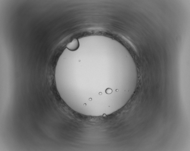 X0000113901015200909241158