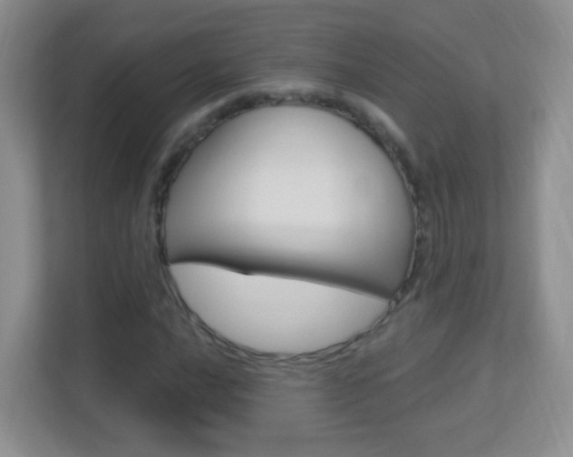 X0000113901016200909241158