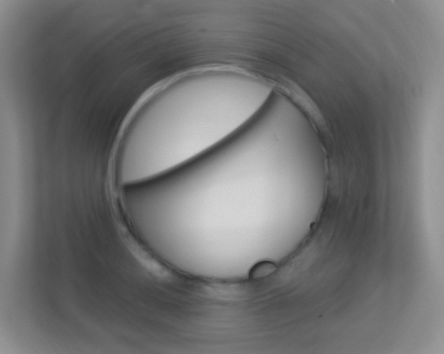 X0000113901036200909241158