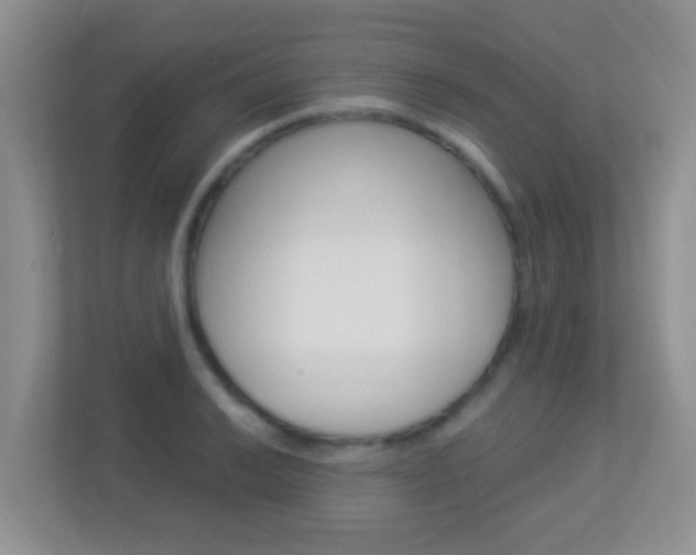 X0000113901038200909241158