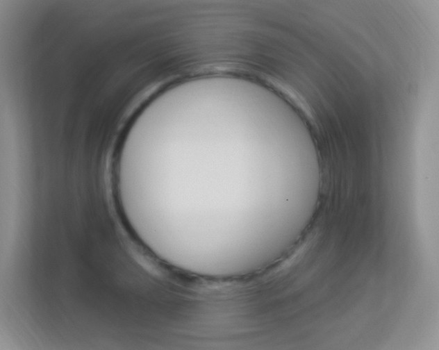 X0000113901039200909241158