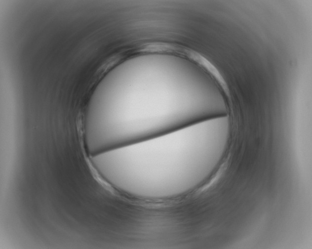 X0000113901049200909241158