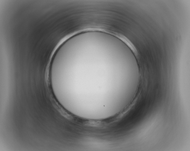 X0000113901052200909241158