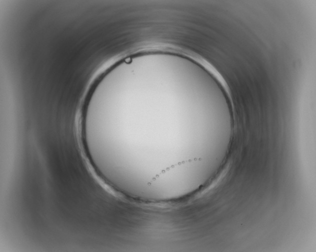 X0000113901053200909241158