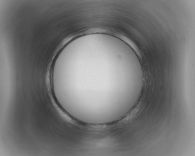 X0000113901055200909241158