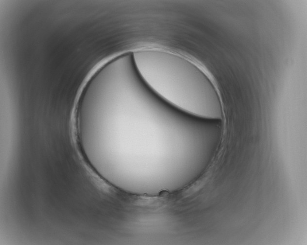 X0000113901056200909241158