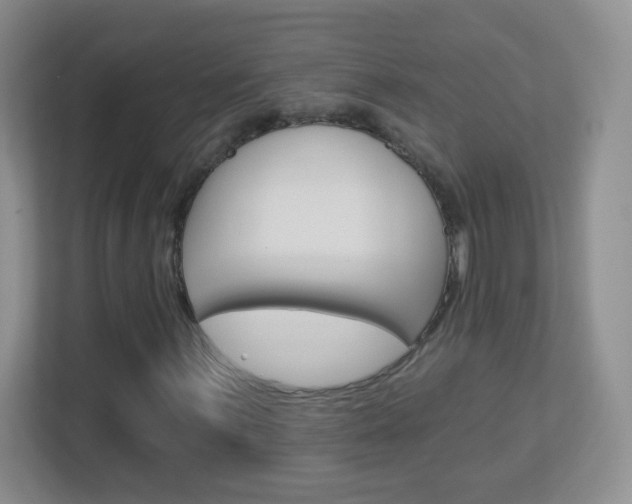 X0000113901059200909241158
