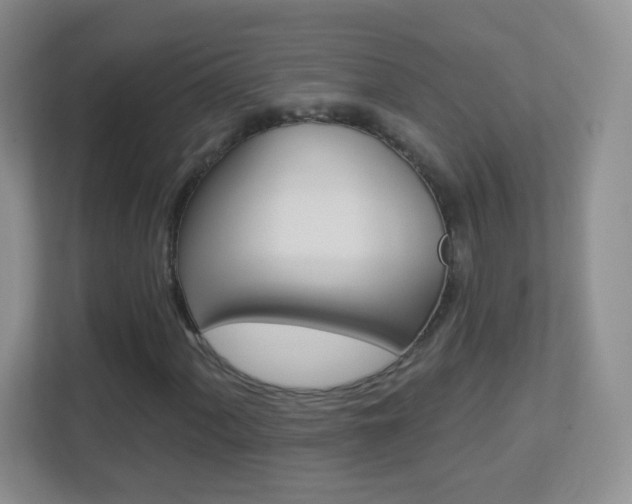 X0000113901060200909241158