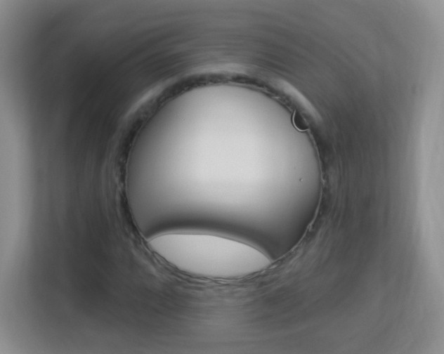 X0000113901064200909241158