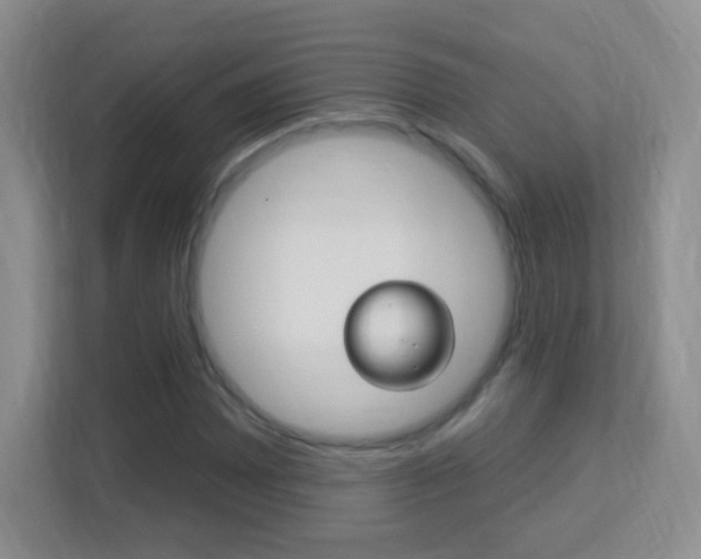 X0000113901065200909241158