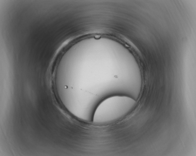 X0000113901067200909241158