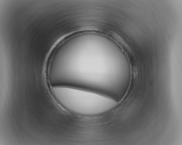 X0000113901068200909241158