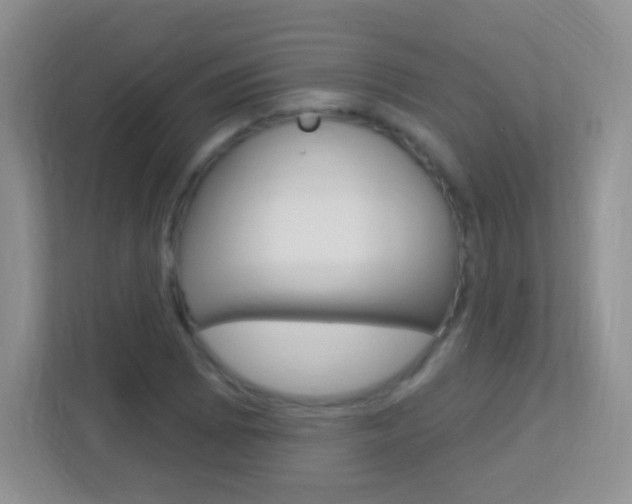 X0000113901073200909241158
