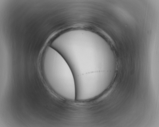 X0000113901075200909241158