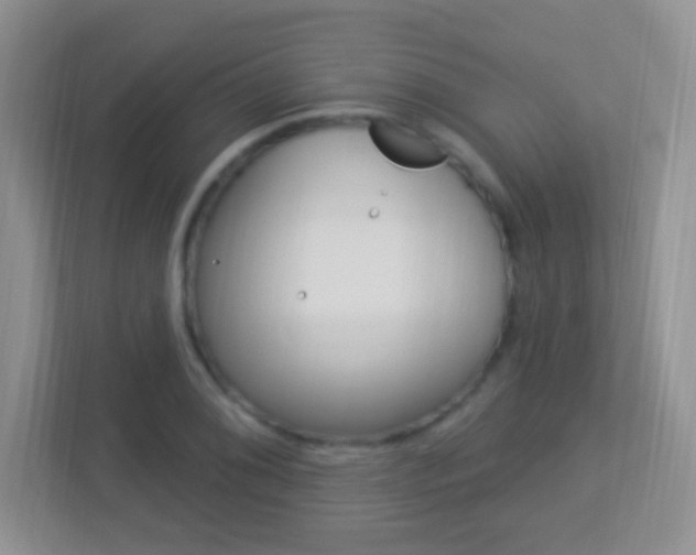 X0000113901076200909241158