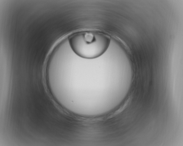 X0000113901077200909241158