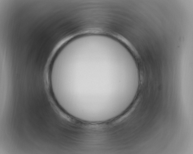 X0000113901078200909241158