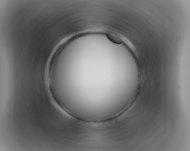 X0000113901080200909241158