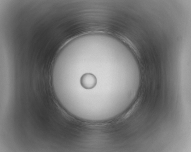 X0000113901081200909241158