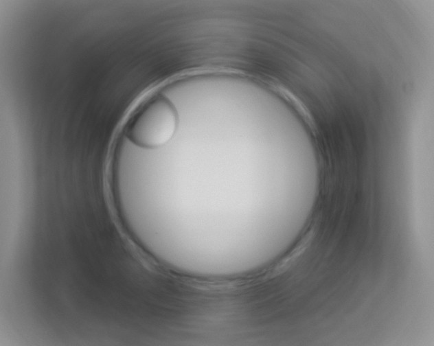X0000113901085200909241157