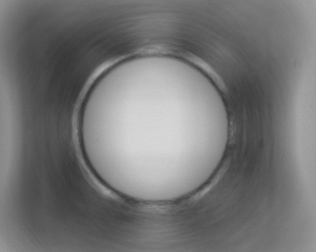 X0000113901086200909241157